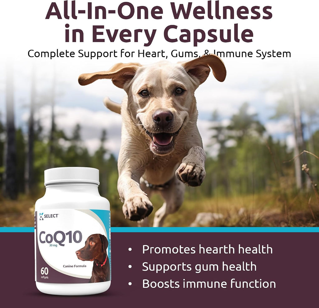 K9 Select CoQ10 Supplement for Dogs, 30mg - 60 Soft Gels per Bottle