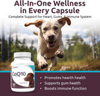 K9 Select CoQ10 Supplement for Dogs, 30mg - 60 Soft Gels per Bottle