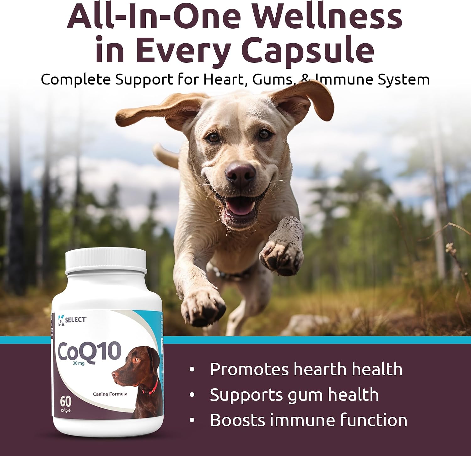 K9 Select CoQ10 Supplement for Dogs, 30mg - 60 Soft Gels per Bottle