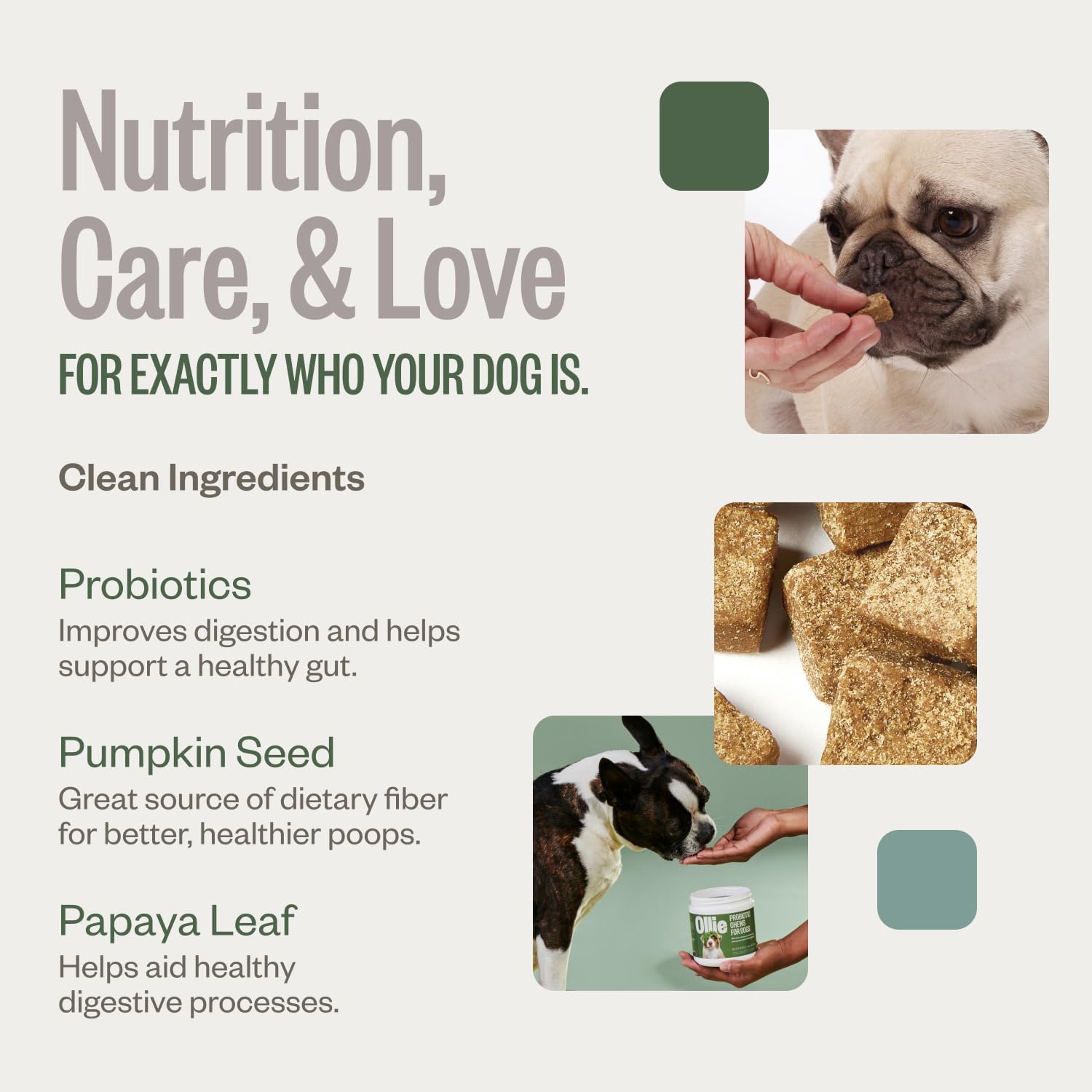 Ollie Belly Rubs - Probióticos para Perros - Salud Digestiva - Aprox. 60 Masticables