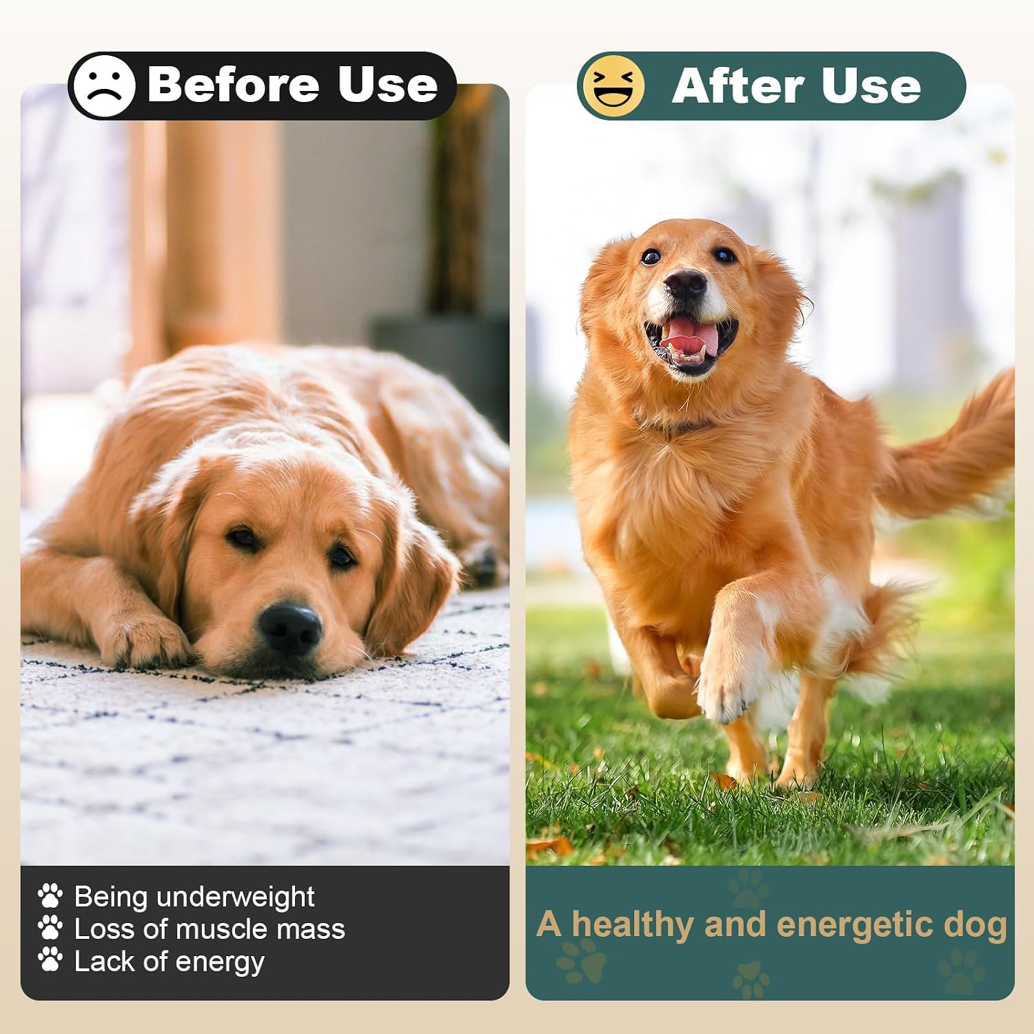 Ourea Ganador de Peso para Perros Senior, Suplemento Alto en Calorías con Multivitaminas, Sabor a Hígado de Pollo, 114g (4oz)