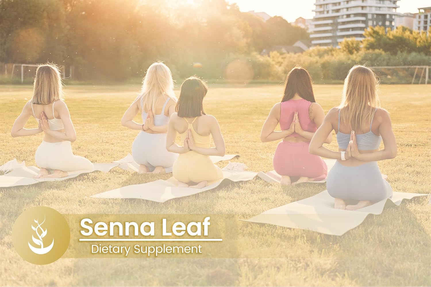 Pure Original Ingredients Senna Leaf, 100 Cápsulas - Puro Sin Aditivos