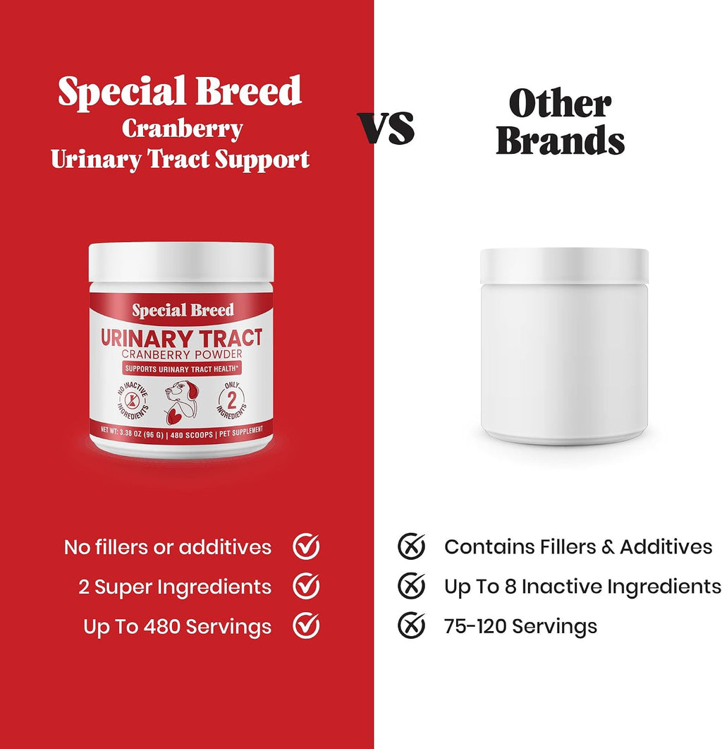 Tratamiento Urinario para Perros con Arándano Rojo – Salud de Vejiga y Riñones – Special Breed