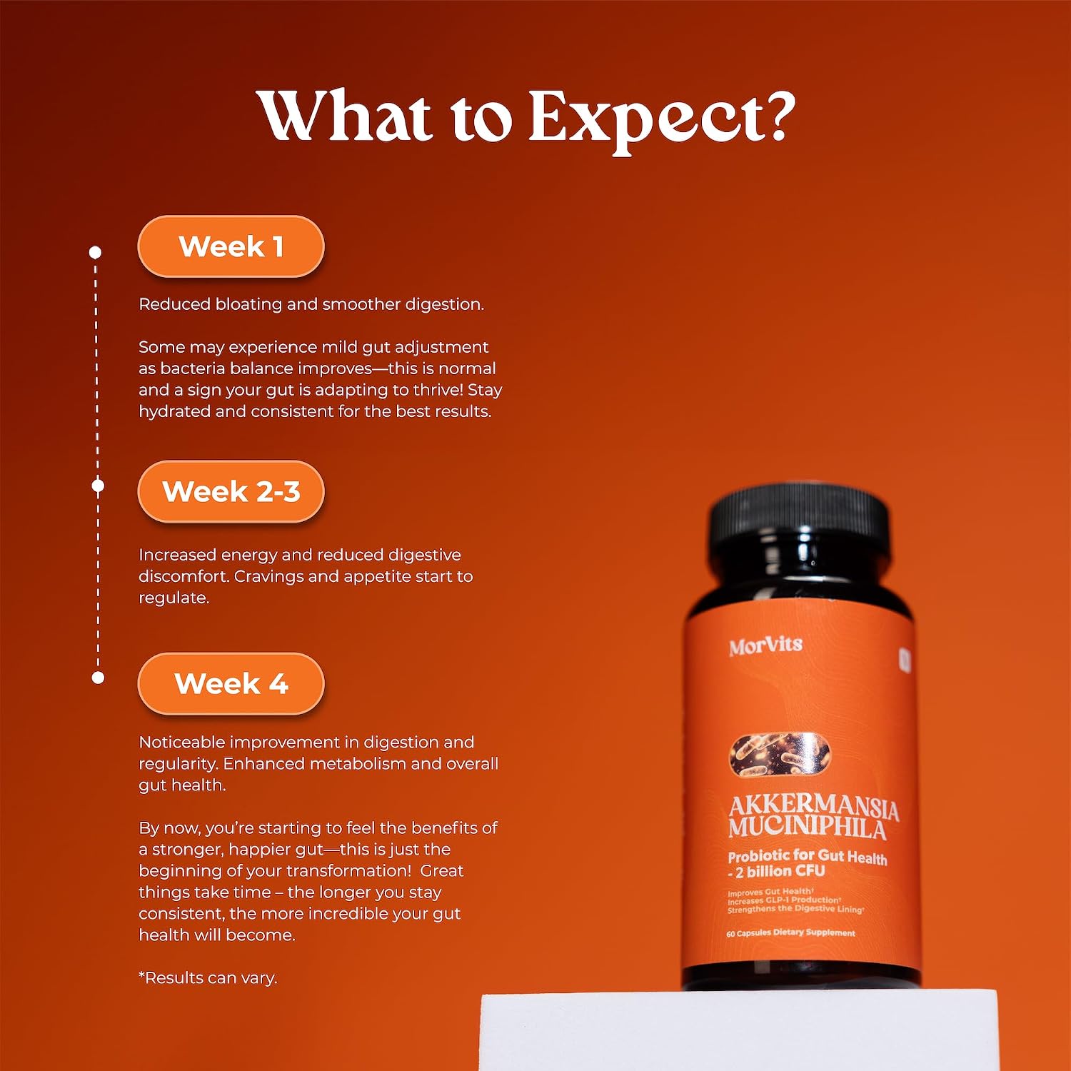 Akkermansia Probiótico con Inulina, 60 Cápsulas - Salud Intestinal y Metabolismo
