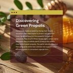 ApisBrasil Propóleo Verde Brasileño - 900 mg diarios - 90 Cápsulas blandas