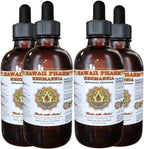 Extracto Líquido de Rehmannia de Hawaii Pharm, Grado Profesional, 946 ml