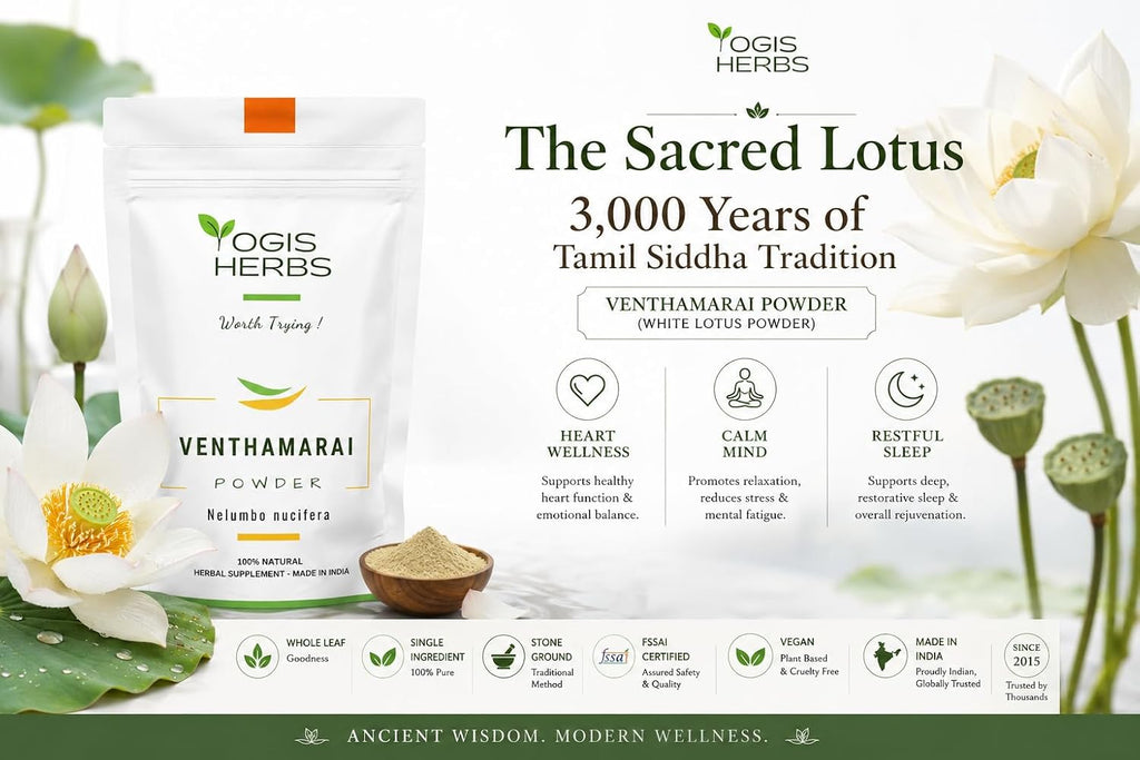 YOGIS HERBS Polvo de Venthamarai - Polvo de Loto Blanco (Nelumbo Nucifera) - Hierba Tradicional Siddha Tamil - Pétalos Puros en Polvo