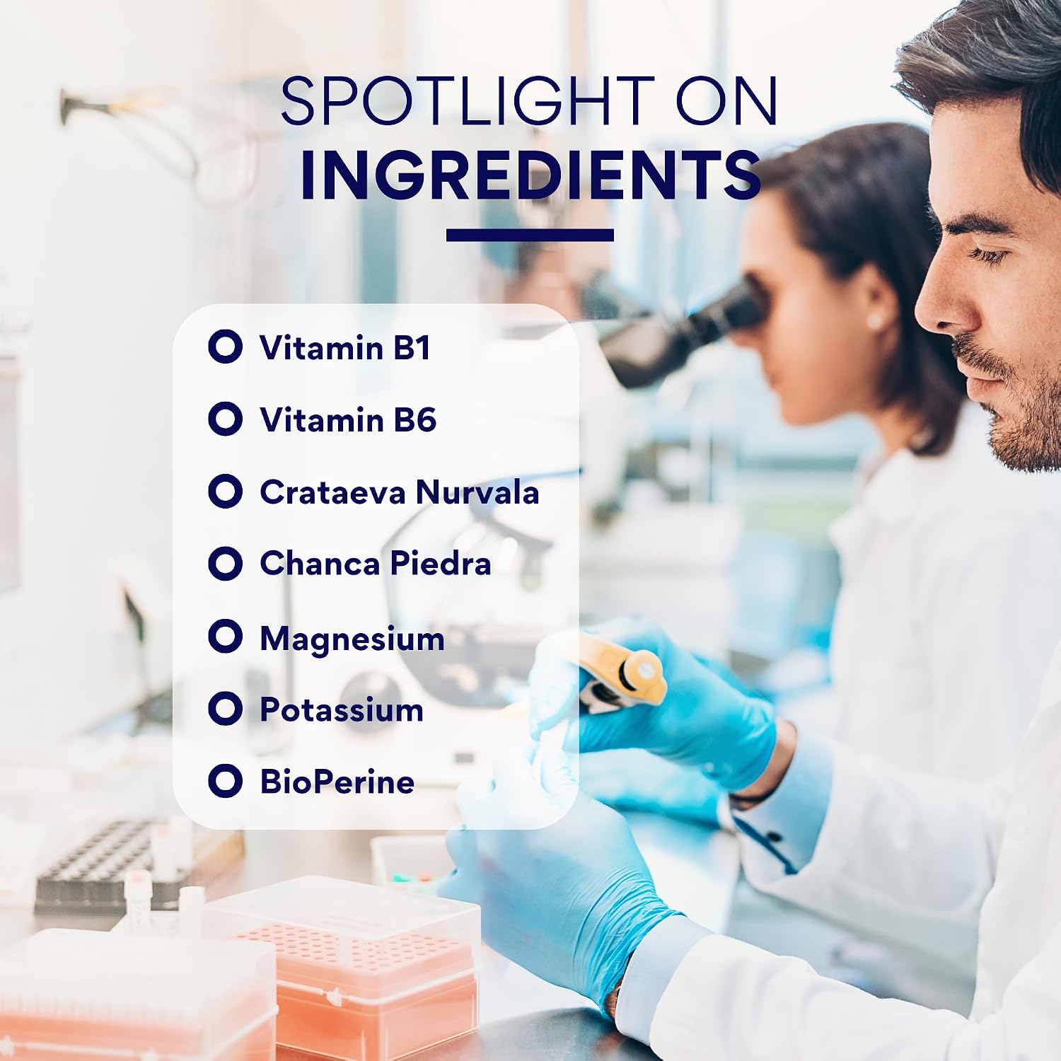 Research Verified Stone Support – Defensa Óptima Contra los Cálculos Renales – 360 Cápsulas Veganas