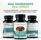 AminAvast Kidney Supplement for Dogs - Supports Natural Kidney Function - 1000mg, 60 Capsules