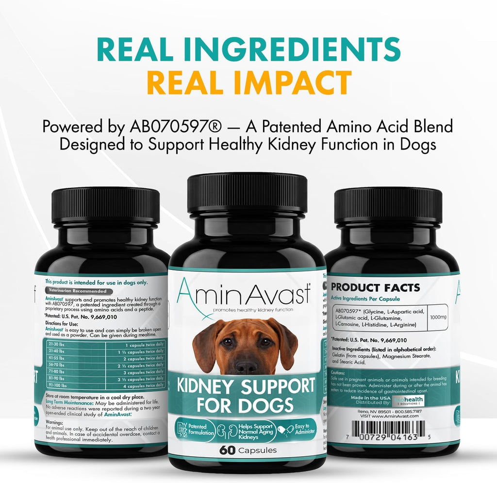 AminAvast Kidney Support Supplement for Dogs - 1000mg, 60 Sprinkle Capsules (2-Pack)