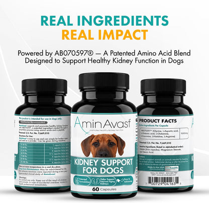 AminAvast Kidney Support Supplement for Dogs - 1000mg, 60 Sprinkle Capsules (2-Pack) – Image 4