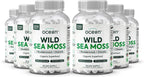 Organics Ocean Cápsulas de Musgo Marino Salvaje - 100% Orgánico con Chlorella, Bladderwrack y Vitamina D - 6 Botellas
