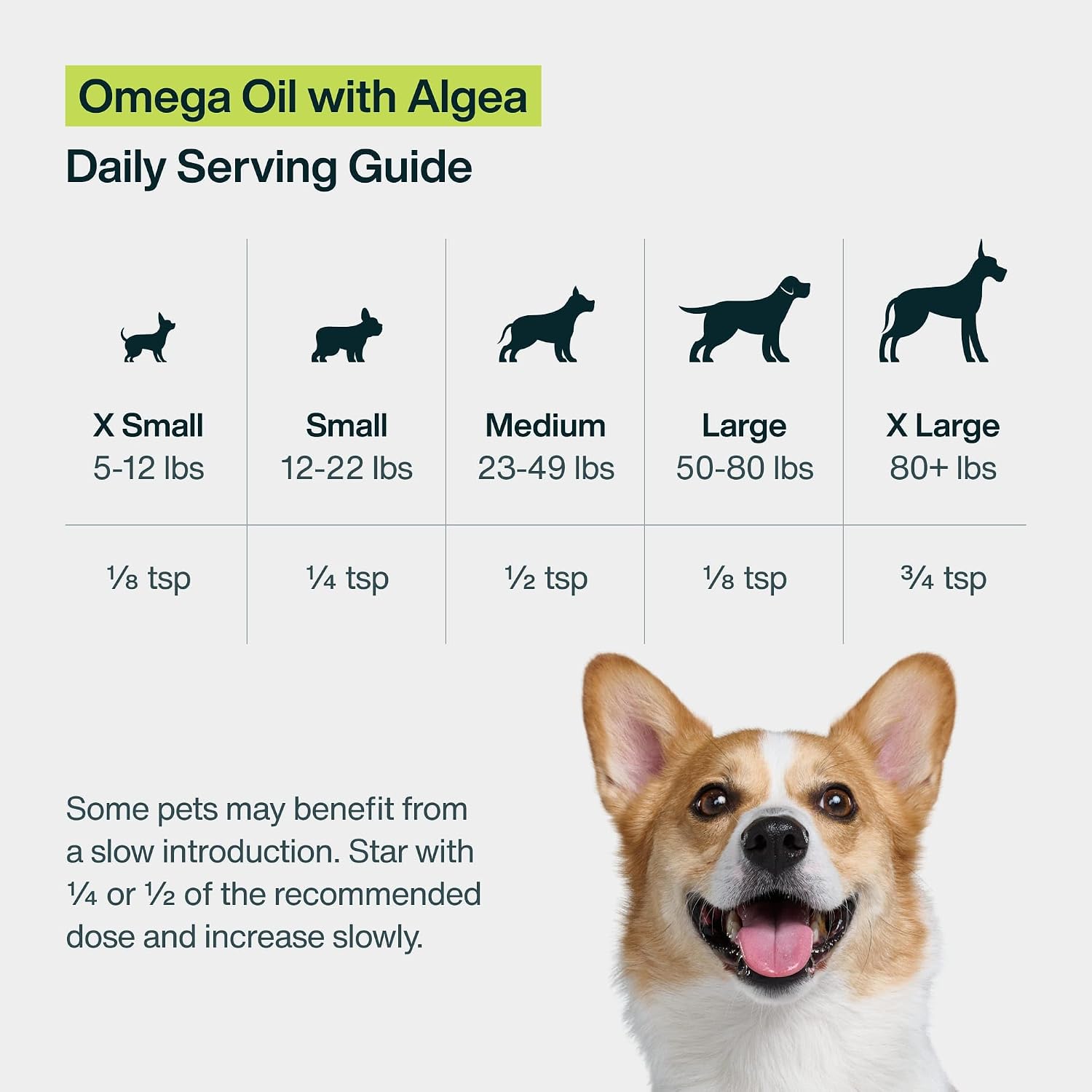 JustFoodForDogs Omega 3 para Perros - Aceite de Algas, 8 oz