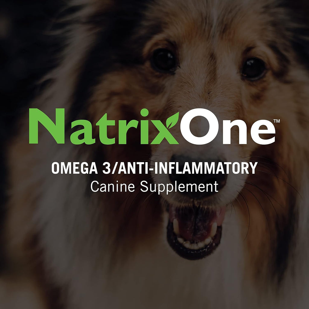 100% Aceite de Camelina Puro para Perros, 473 ml - Suplemento Natural para Piel y Pelaje