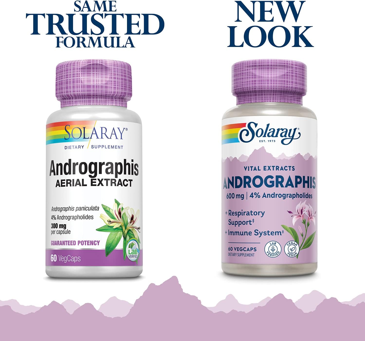 SOLARAY Andrographis 600 mg - 60 Cápsulas Vegetales - Apoyo Inmunitario