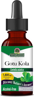 Nature's Answer Gotu Kola Herb Alcohol Free - Extracto Concentrado 2000 mg - 30 ml
