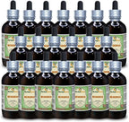 HerbalTerra Tintura de Moringa (Moringa Oleifera) - Extracto Líquido de Hoja en Polvo, 950 ml