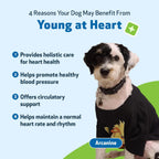 Pet Wellbeing Young at Heart for Dogs - Cardiovascular Support for Senior Dogs - 59 ml Liquid Formula