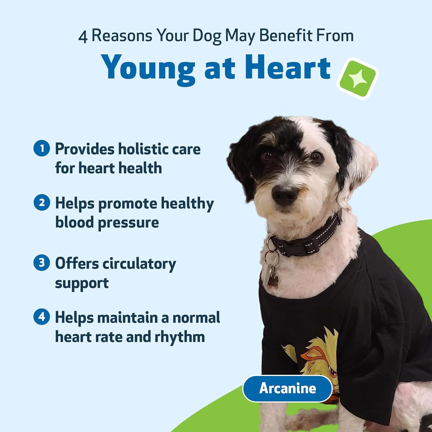 Pet Wellbeing Young at Heart for Dogs - Cardiovascular Support for Senior Dogs - 59 ml Liquid Formula