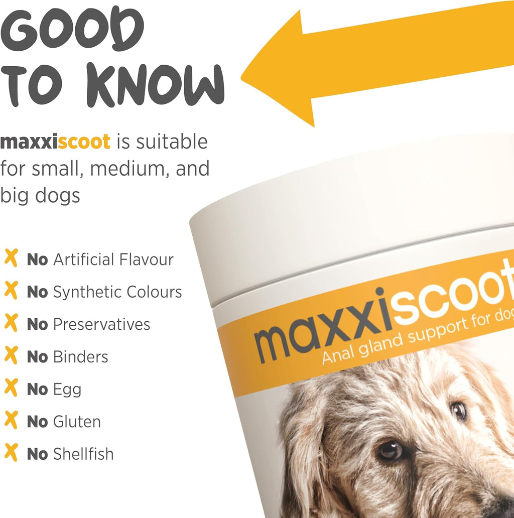 maxxiscoot Apoyo Digestivo y Glandular para Perros - Suplemento en Polvo Natural para la Calidad de las Heces y la Salud Intestinal - 141g