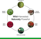 Dr. Schulze's SuperFood Plus - Superalimento diario, 390 comprimidos