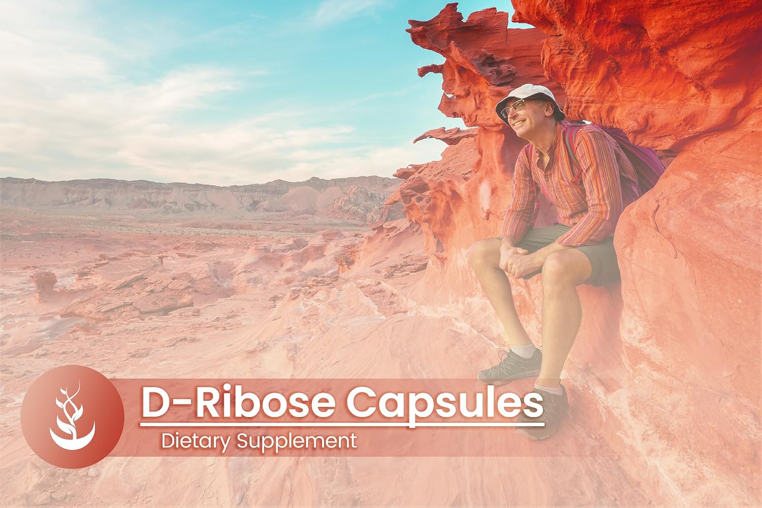 PURE ORIGINAL INGREDIENTS D-Ribosa, 100 Cápsulas