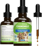 Pet Wellbeing Manzanilla para Perros - Suplemento Orgánico de Hierba Única - Apoyo Digestivo Suave y Calmante Holístico - Extracto Puro de Manzanilla - Formulado por Veterinarios, 59 ml