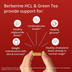 Metagenics Berberine GT - 500 mg de Berberina con Extracto de Té Verde Descafeinado - 60 Cápsulas Vegetales
