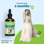 Pet Wellbeing Immune Sure para Perros - Apoya las Defensas Inmunitarias Normales, Equilibrio de la Flora Intestinal, Andrographis, Echinacea, Vitamina C, Zinc - Suplemento Herbario Formulado por Veterinarios 118 ml