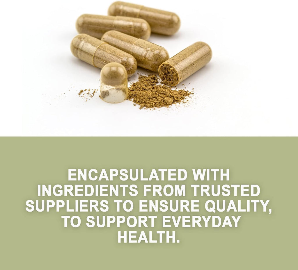 Evergreen Herbs Palo Mulato Capsules - 1350 mg per Serving (450 mg Each Capsules) Wildcrafted Mexican Herbal Capsules - Tamper Proof Seal to Ensure Freshness