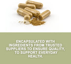 Evergreen Herbs Palo Mulato Capsules - 1350 mg per Serving (450 mg Each Capsules) Wildcrafted Mexican Herbal Capsules - Tamper Proof Seal to Ensure Freshness