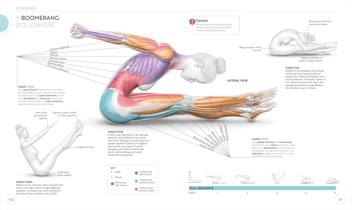 Science of Pilates: Understand the Anatomy and Physiology to Perfect Your Practice