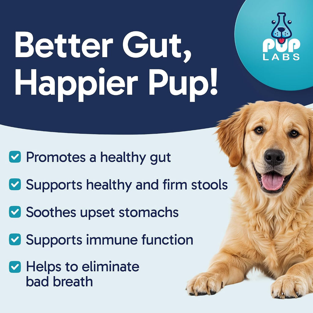 Pup Labs Tummy Essentials Probiotic Chews for Dogs, Supports Gut Health and Firm Stools, 30 Chews