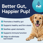 Pup Labs Tummy Essentials Probiotic Chews for Dogs, Supports Gut Health and Firm Stools, 30 Chews
