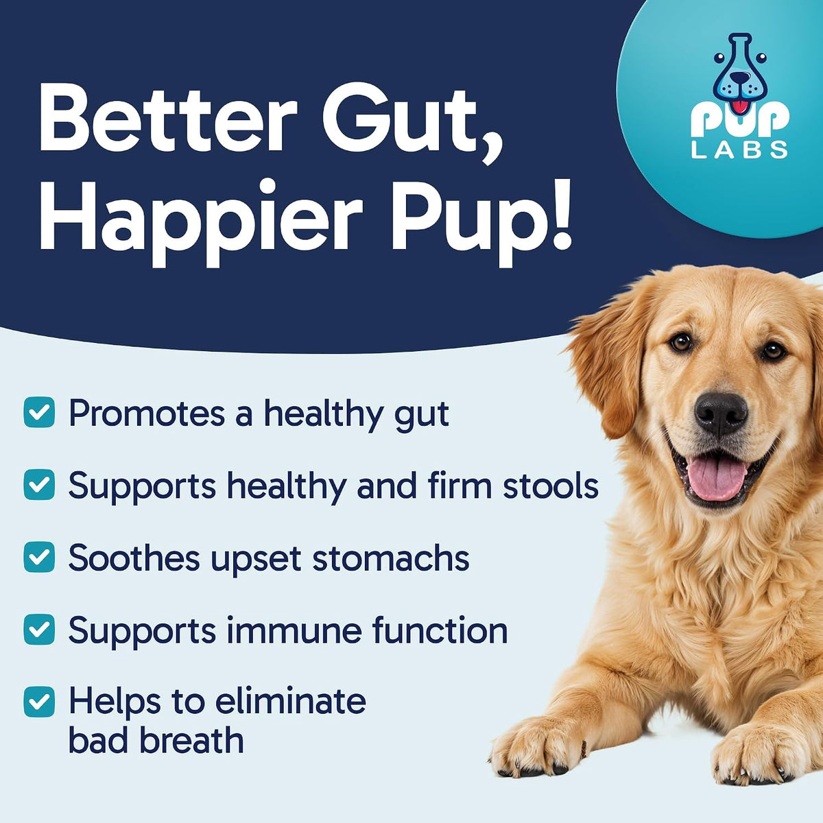 Pup Labs Tummy Essentials Probiotic Chews – Contribuir al sistema inmunitario: Alrededor del 70% del sistema – Image 2
