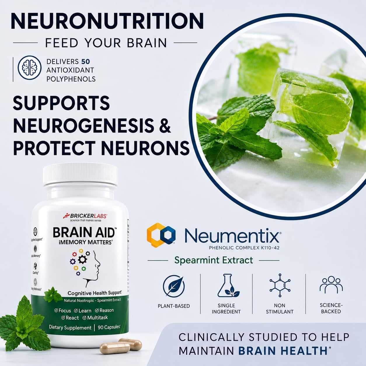 Bricker Labs Brain Aid Memory Matters – Suplemento Nootrópico con Extracto de Menta Neumentix