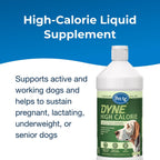 PetAg Dyne High Calorie Liquid Supplement for Dogs and Puppies - 16 fl oz - Sweet Vanilla Flavor