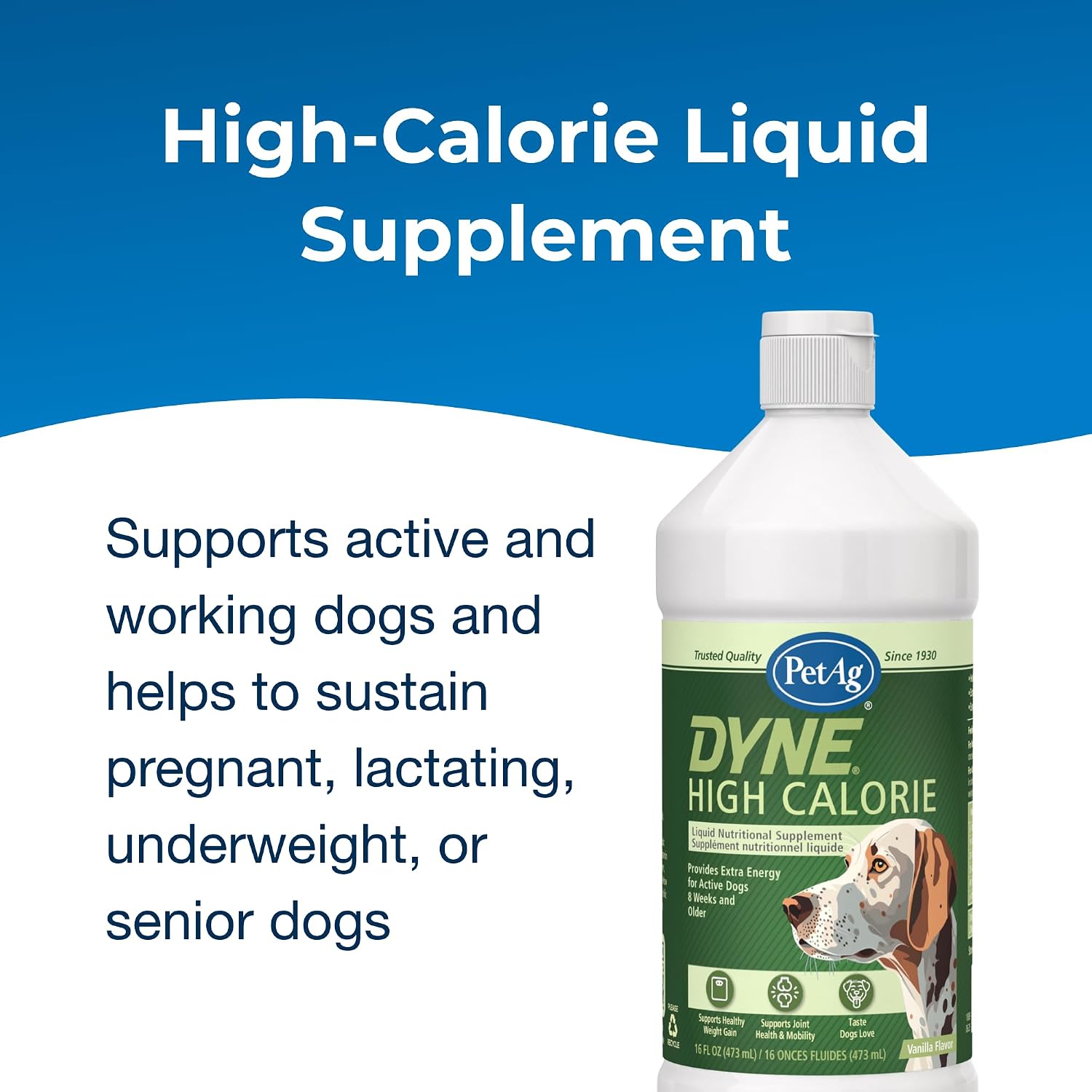 PetAg Dyne Suplemento Nutricional Líquido de Altas Calorías para Perros y Cachorros - 473 ml (16 oz) - Sabor Vainilla Dulce