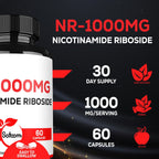 Satoomi NAD Nicotinamida Ribósido - Suplemento NR 1000mg - 60 Cápsulas (30 Días)