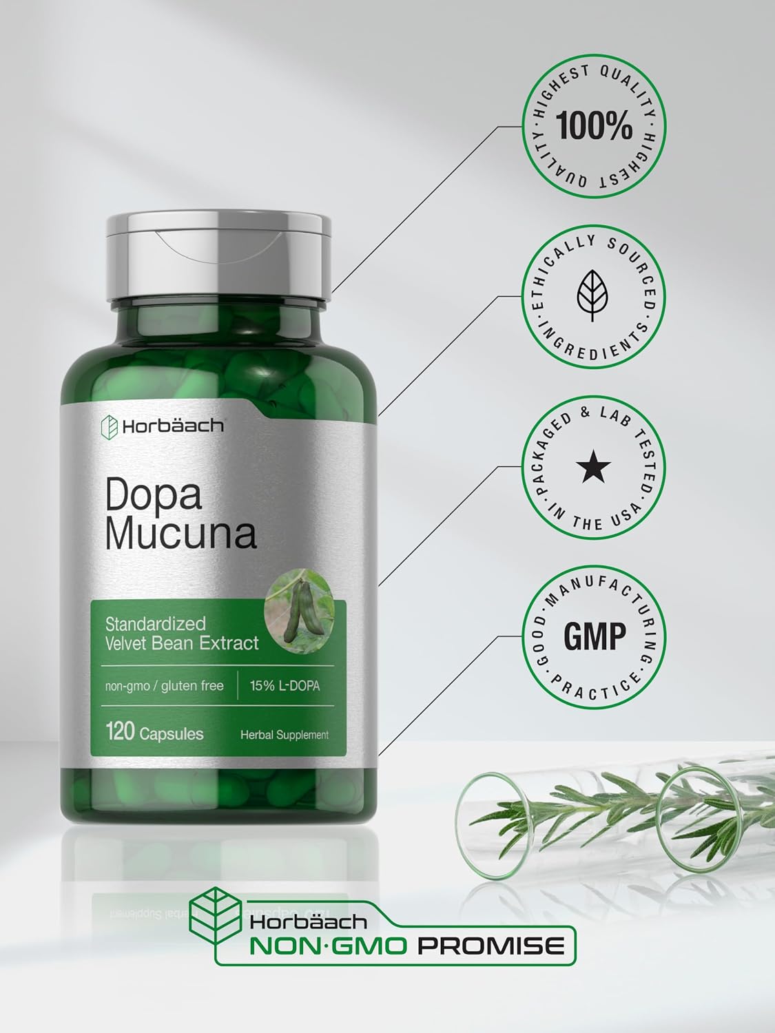 Horbäach Dopa Mucuna | 120 Cápsulas | Extracto de Hierba de Terciopelo | 15% L-Dopa | No-GMO y Sin Gluten
