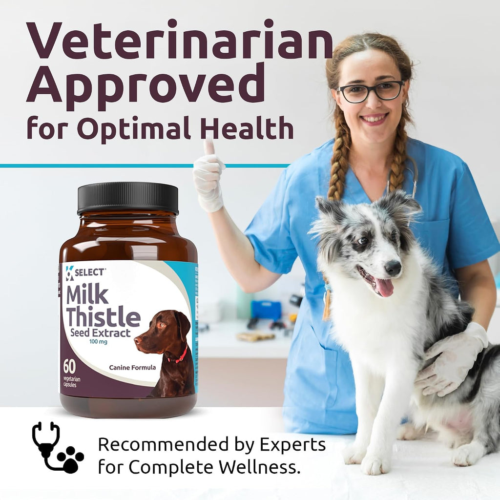 Milk Thistle for Dogs, 100mg - 60 Vegetable Capsules - Canine Liver Supplement