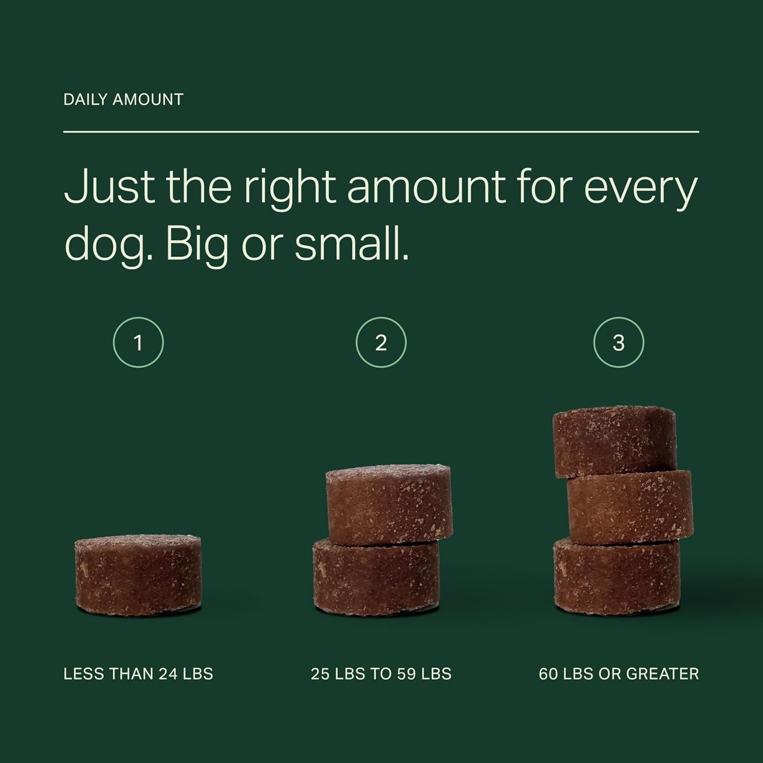 Longevity+ Suplemento para Perros Pequeños - Vitaminas y Suplementos para Articulaciones, Músculos, Inmunidad y Cognición - Formulado por Veterinarios - 30 Días