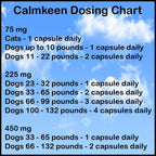 Calmkeen 450 mg 120 Cápsulas de Apoyo Conductual para Perros Grandes (15 kg y más) - Suplemento Calmante Natural con Proteína de Leche - Ayuda a tu Mascota a Sobrellevar Cambios y Estrés por Ruido - Sin Somnolencia - Sin Lactosa