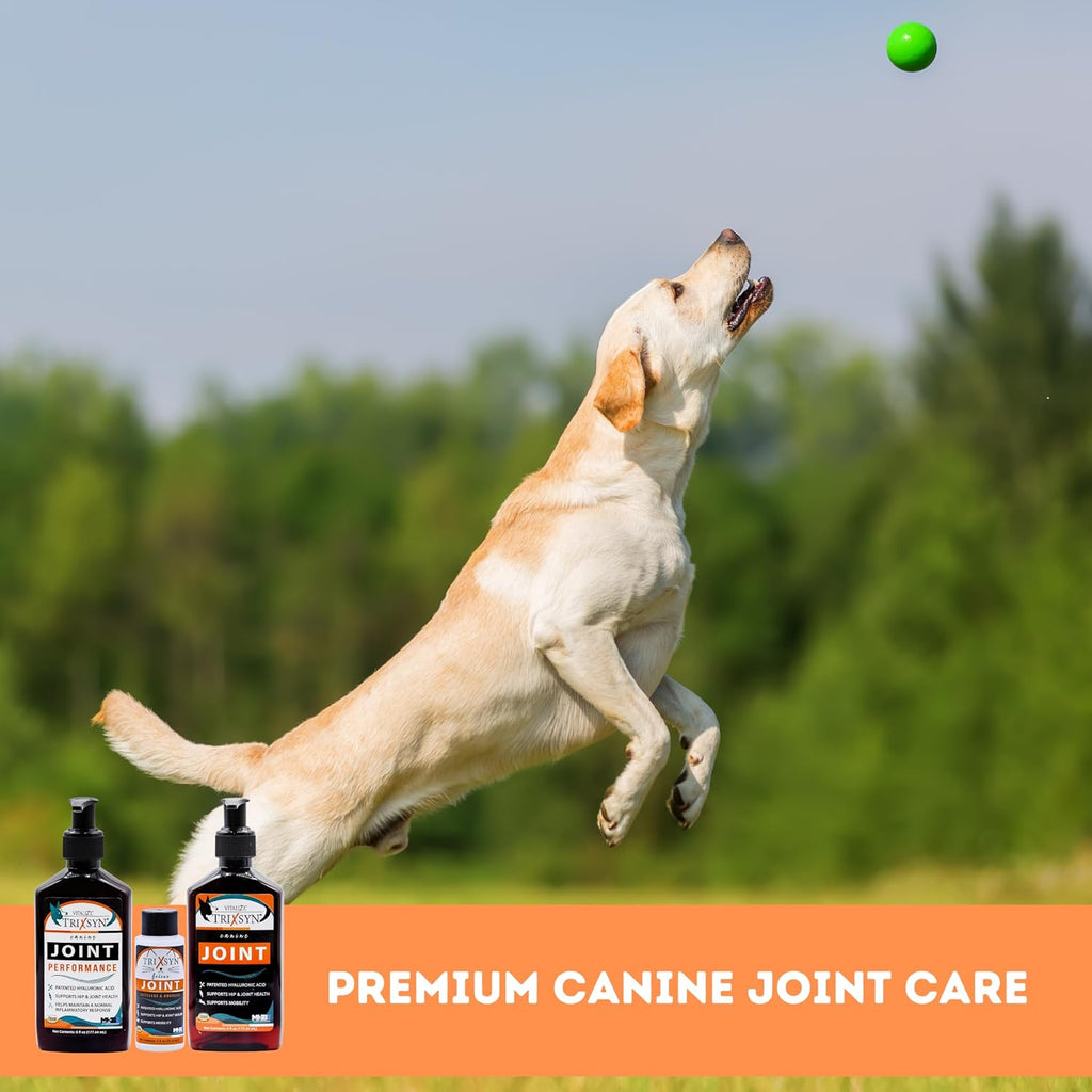 TRIXSYN Canine - Suplemento Líquido para Articulaciones de Perro con Ácido Hialurónico - Fórmula Patentada MHB3 - 2 Botellas de 177 ml