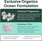 Organics Ocean Magnesio Glicinato Puro con Zinc - Suplemento de Magnesio Quelado de Máxima Potencia para Mujeres y Hombres, Ayuda contra Calambres Musculares y Favorece el Sueño - 6 Frascos