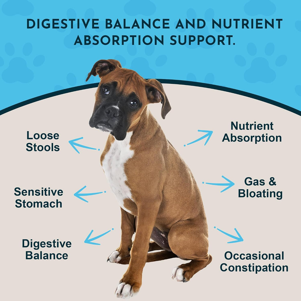 Animal Essentials Plant Enzyme & Probiotics - Probióticos y Enzimas Digestivas para Perros y Gatos