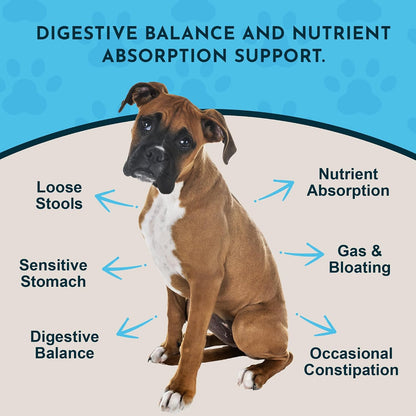 Animal Essentials Plant Enzyme & Probiotics – Apoyo en la absorción de nutrientes: Las enzimas descomponen los – Image 2