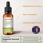 root + spring Tintura de Sargassum Seaweed – Extracto Líquido Concentrado con Gotero – 1 oz (Pack de 4)