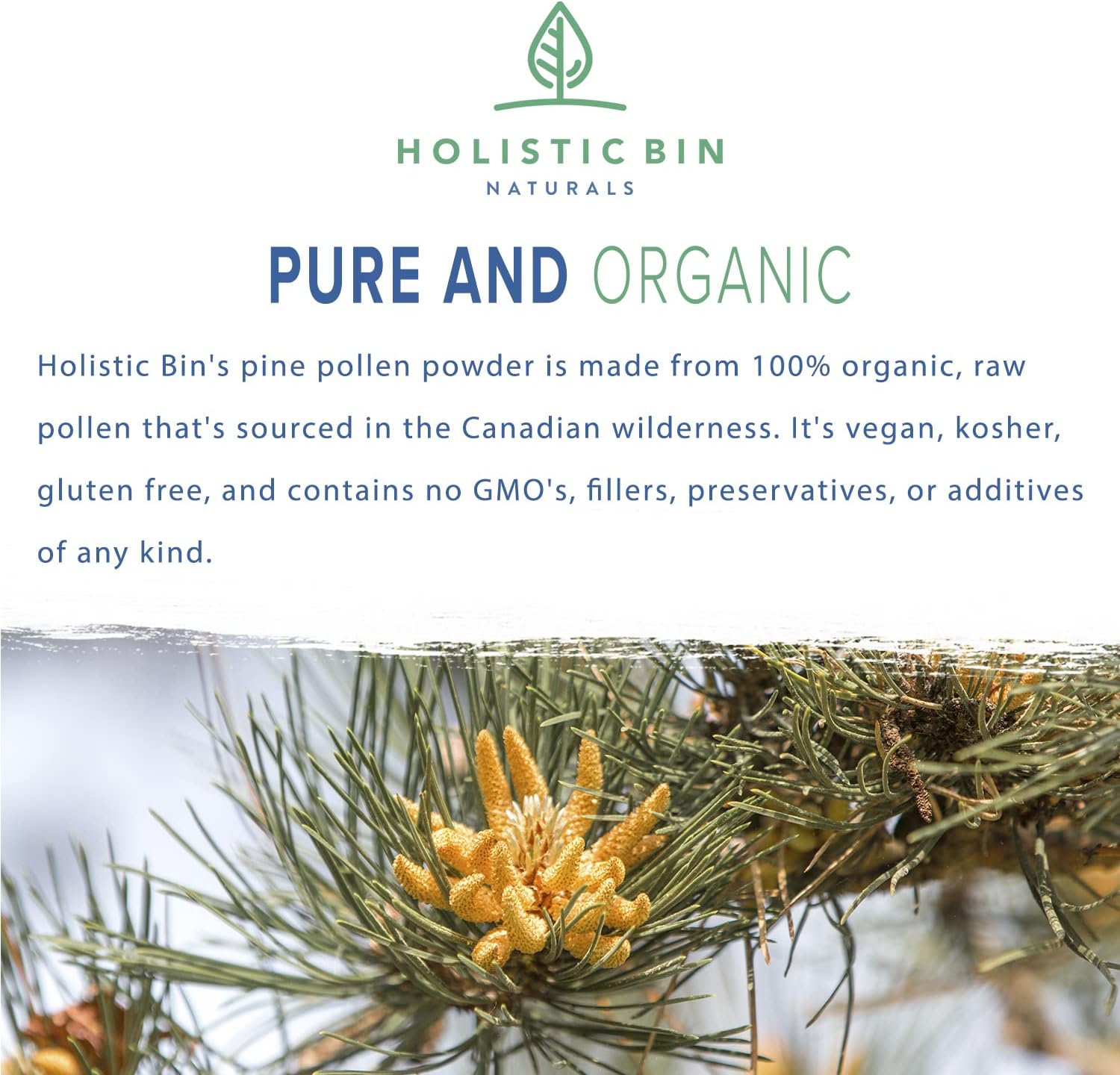 Polen de Pino en Polvo | Recolectado en la Naturaleza, Polen de Pino Canadiense Dorado | Polen del Pino Ponderosa, 20 g