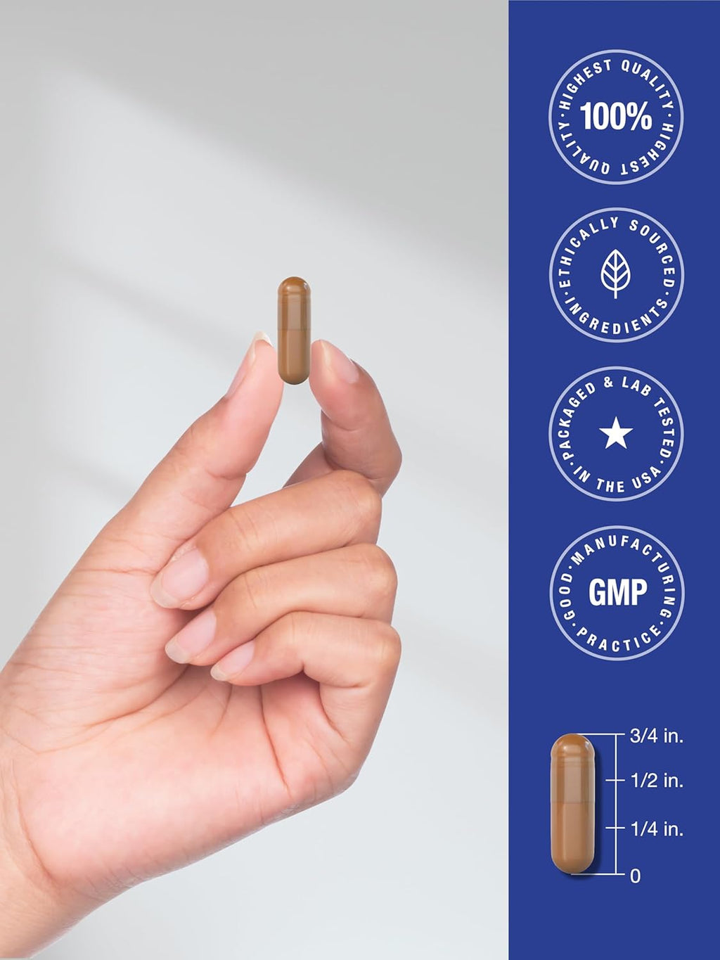 Horbäach Suplemento de PQQ 40 mg | 120 Cápsulas | Máxima Potencia | Sin Gluten y No-GMO